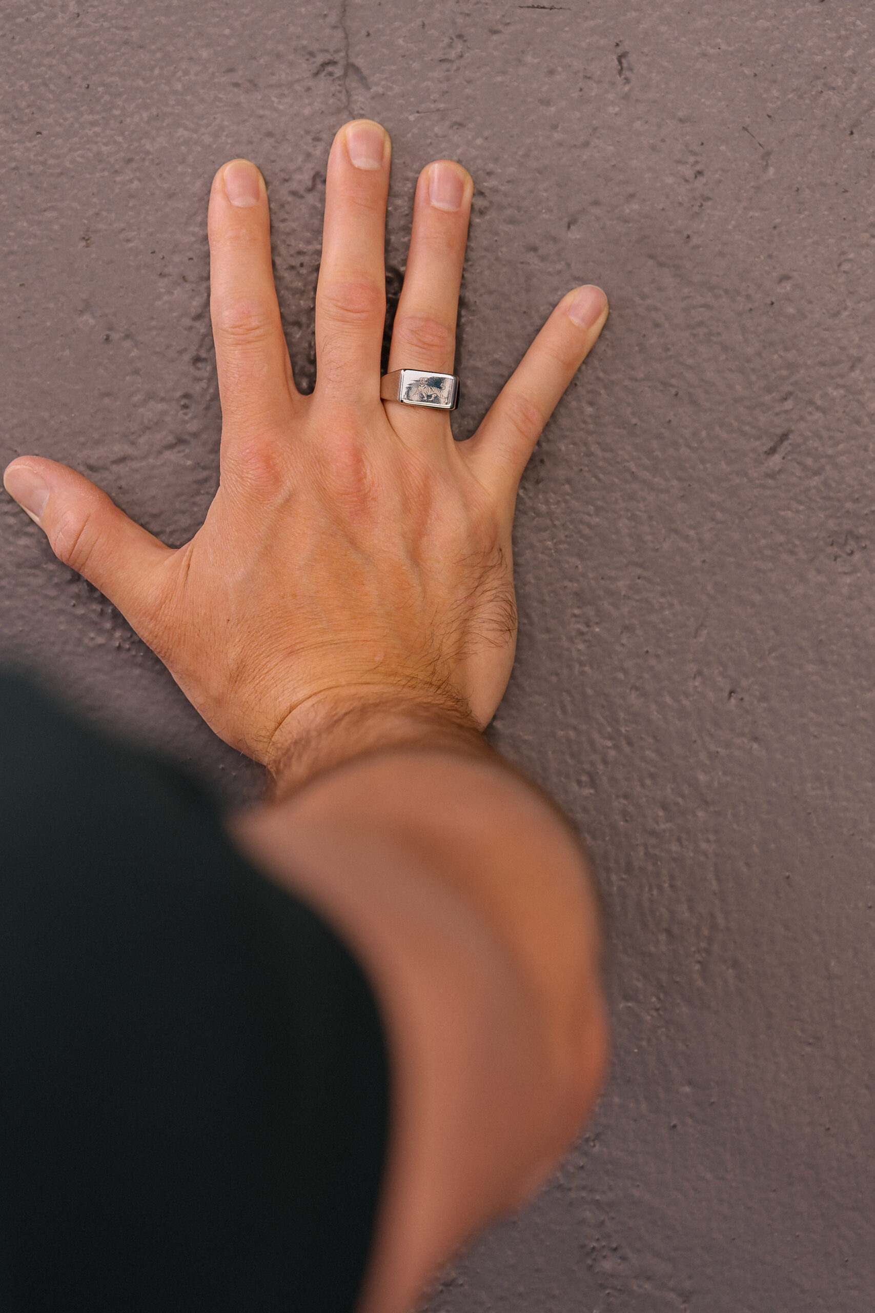 Fierce Signet Ring - Image 3